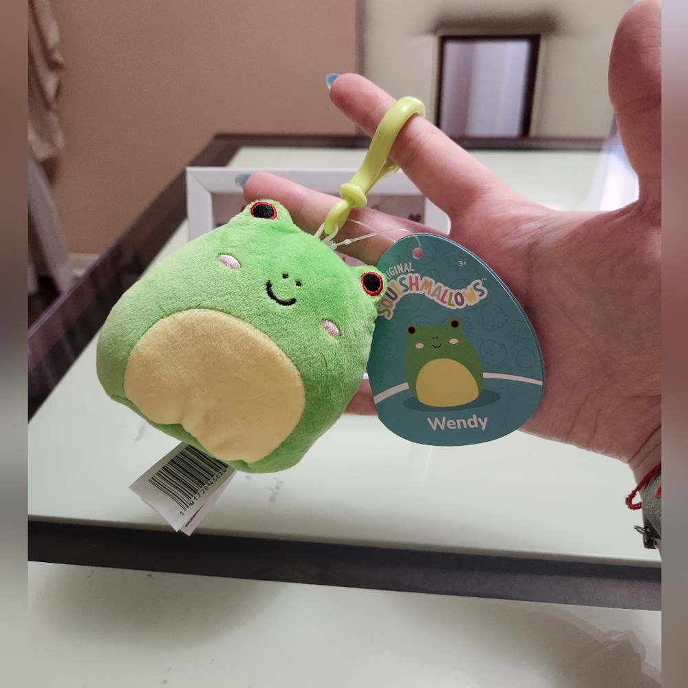 🐸Wendy Squishmallow Clip🐸